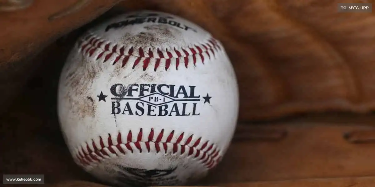 <strong>DB电竞官方网站</strong>🏀跳跃、奔跑、协作！这里是梦想的训练场，也是快乐的充电站！